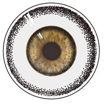 Load image into Gallery viewer, Eye Dial Prototype 28.5mm